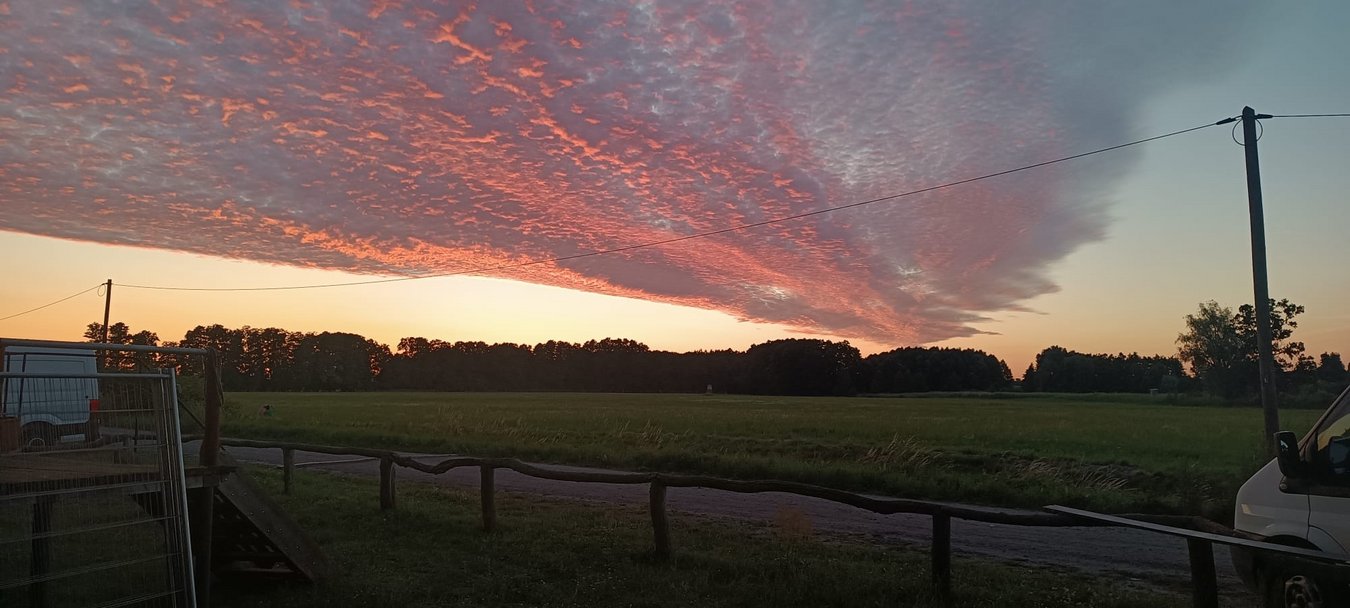 Sommerfestival 2026 Aussicht. Weites Feld beim Sonnenuntergang.