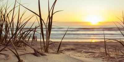 Sonnenuntergang am Meer auf einer Düne