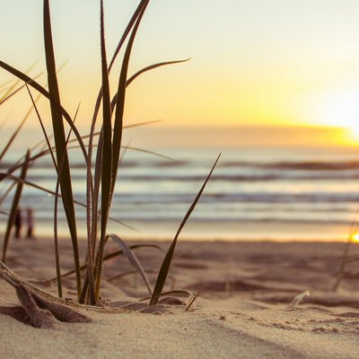 Sonnenuntergang am Meer auf einer Düne